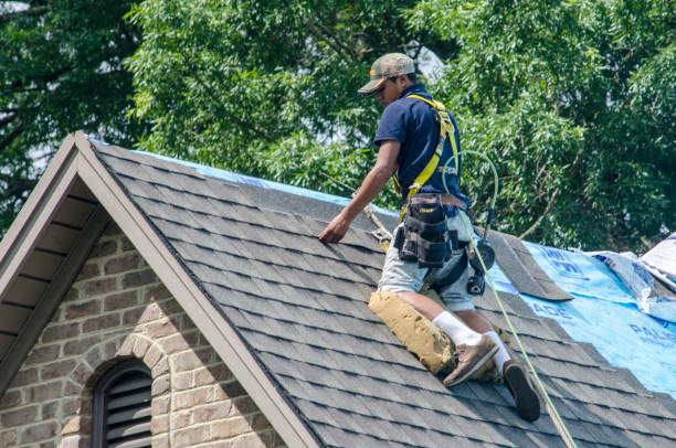 Best Gutter Installation and Roofing  in Harbour Heights, FL