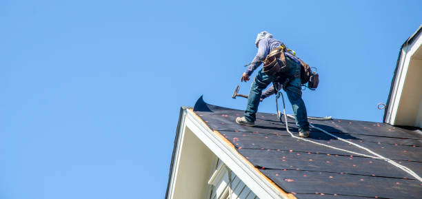 Best Storm Damage Roof Repair  in Harbour Heights, FL